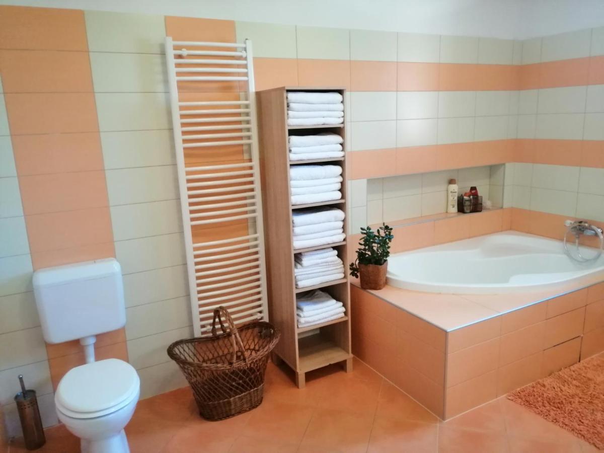 Vizaknai Apartmanhaz Székesfehérvár Eksteriør billede